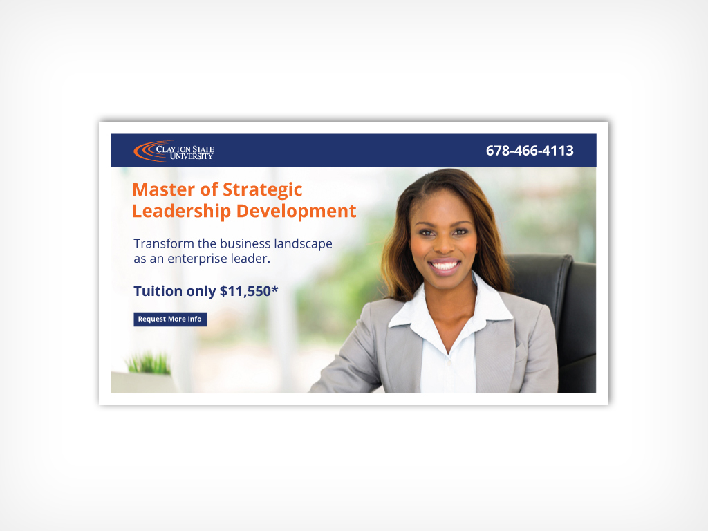 Web Campaign Ads